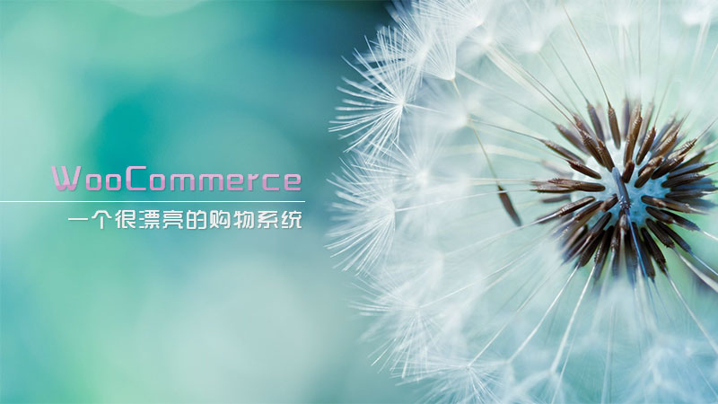 Woocommerce一个很漂亮的购物系统