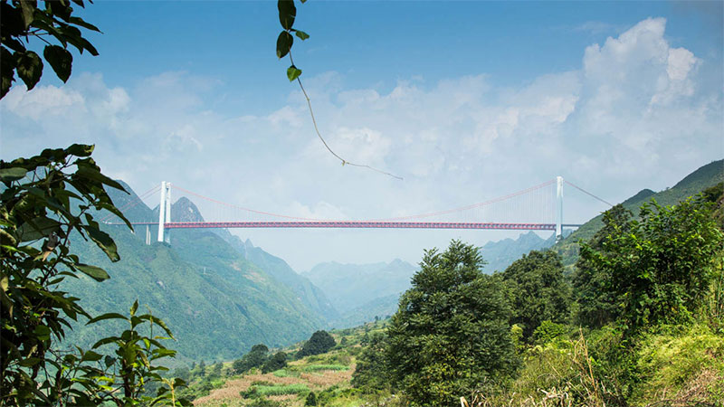 WordPress MU多站点网络共享媒体插件Network Shared Media的使用包括特色图像