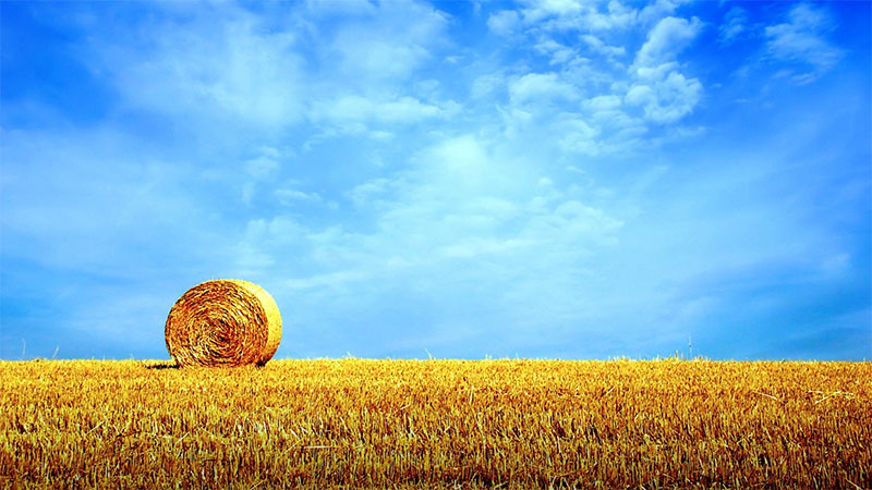 jQuery无限加载更多插件Infinite Ajax Scroll支持图片延迟加载