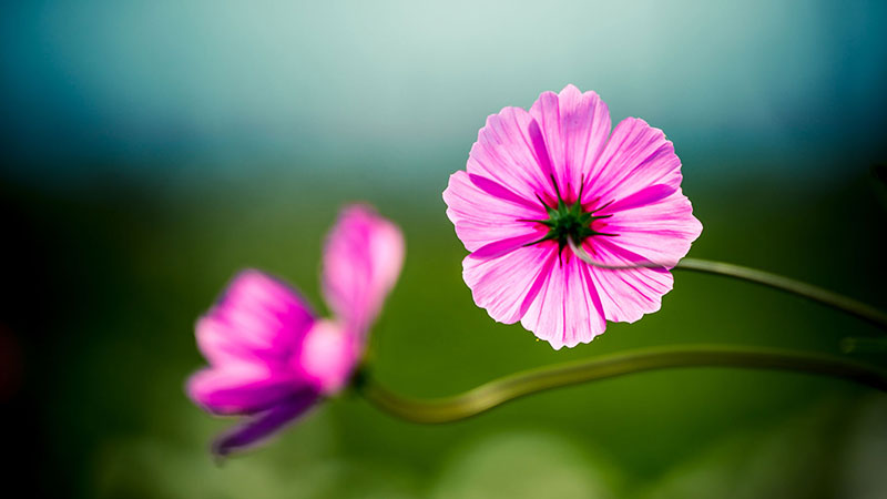 CSS3 background-attachment:fixed实现滚动视差效果