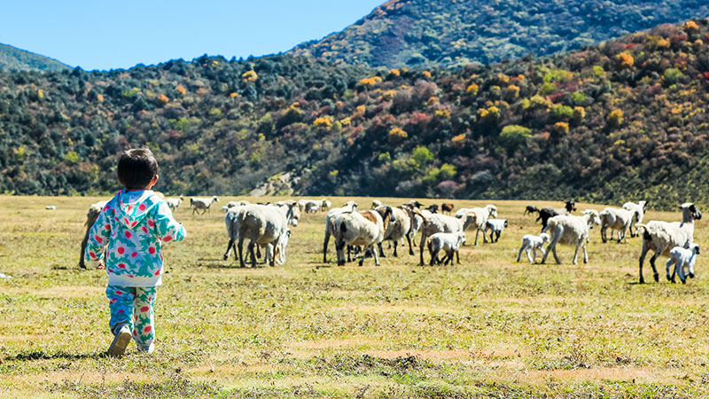 WordPress网站统计相关信息使用大全