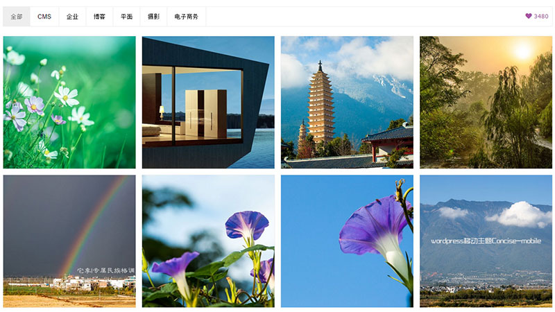 WordPress主题使用jQuery插件Isotope添加作品集筛选功能