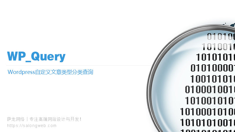 WordPress获取自定义文章类型分类下的文章并循环